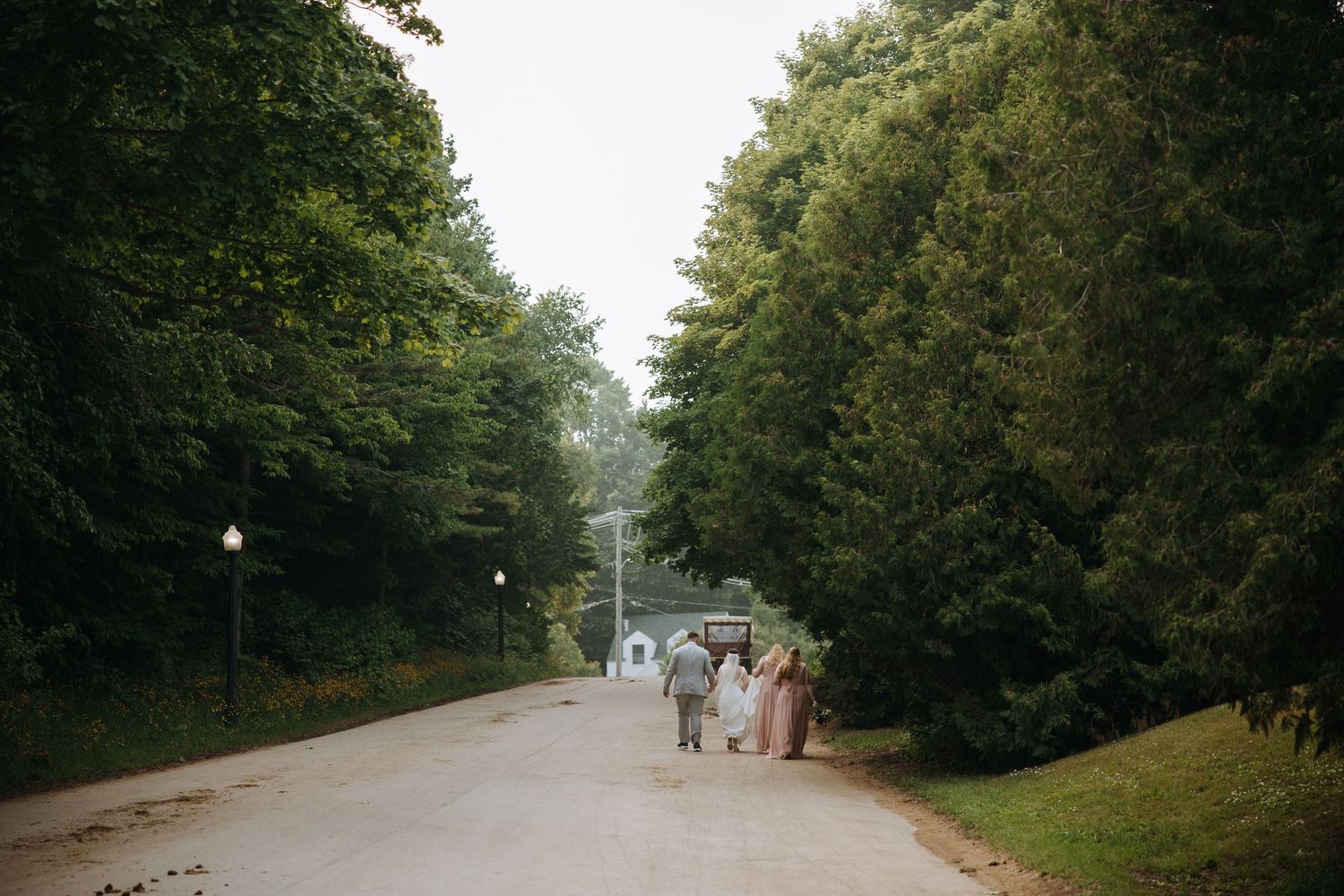 Tree-lined road winding through a wooded area on a sunny day.