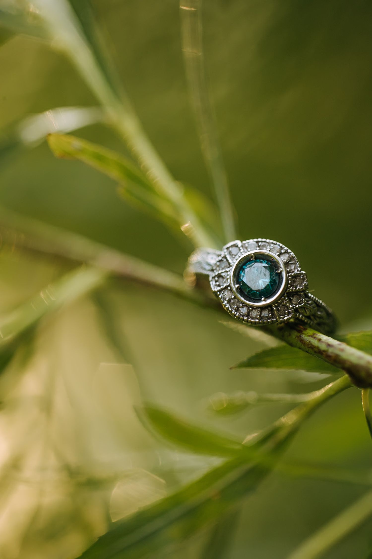 Diamond engagement ring sparkles on green leaves in natural sunlight.