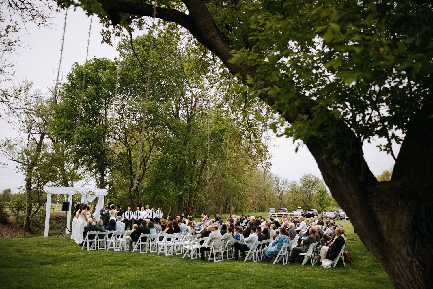 White wedding chairs arranged outdoors under large trees for an outdoor ceremony.