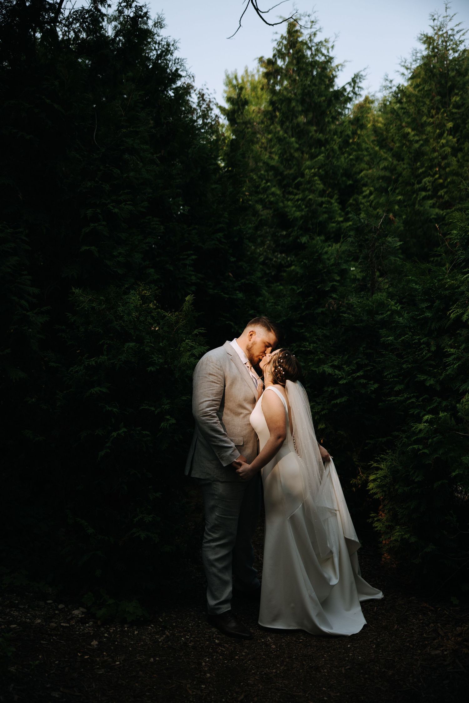 A romantic wedding couple shares an intimate moment in front of evergreen trees at dusk.