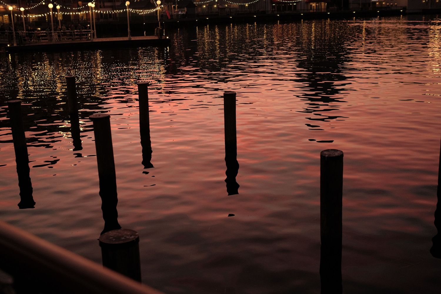Wooden posts reflect in calm harbor waters during sunset creating mirror-like effect.