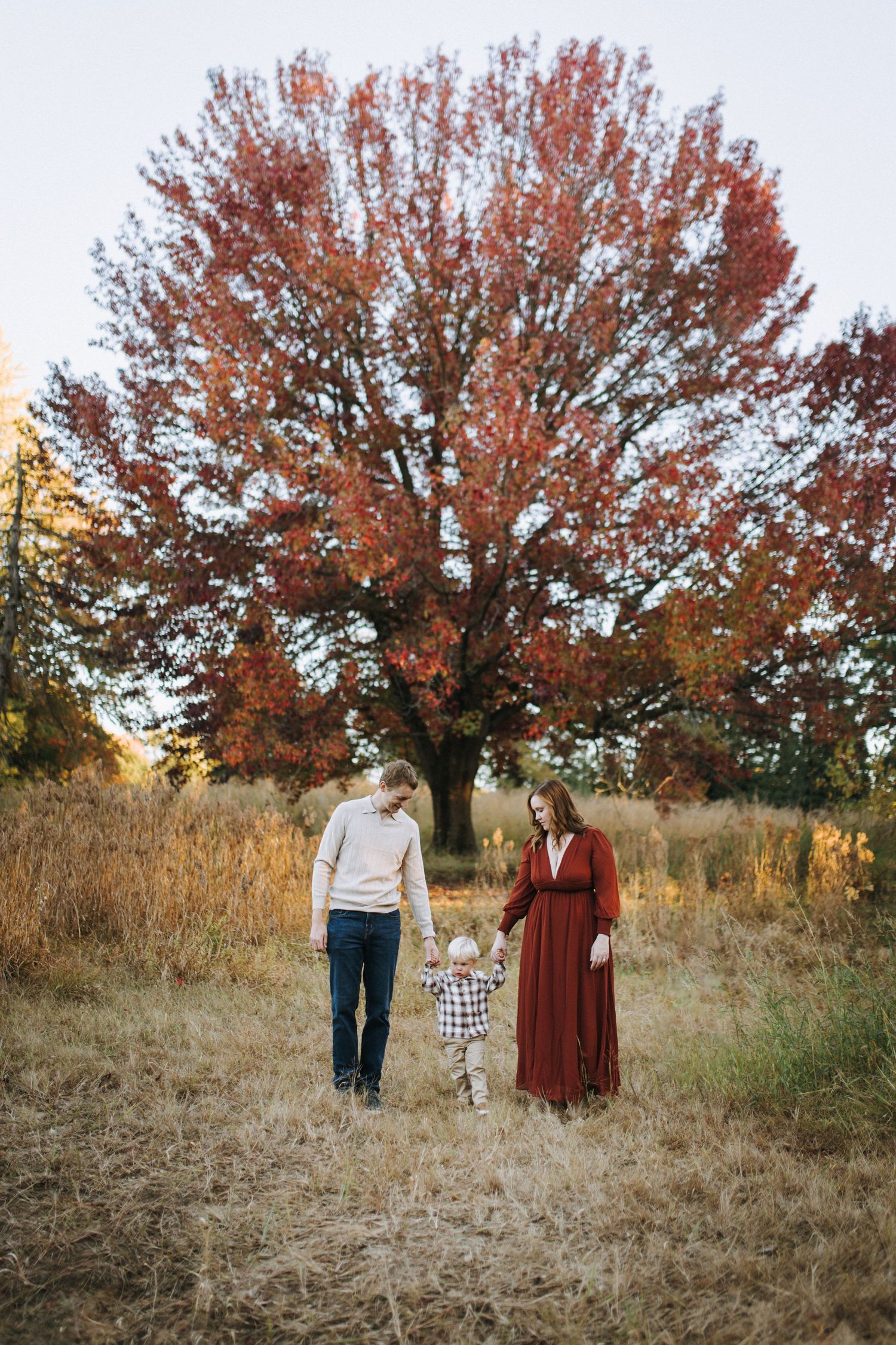 A family walks through tall grass beneath a vibrant red maple tree in autumn.