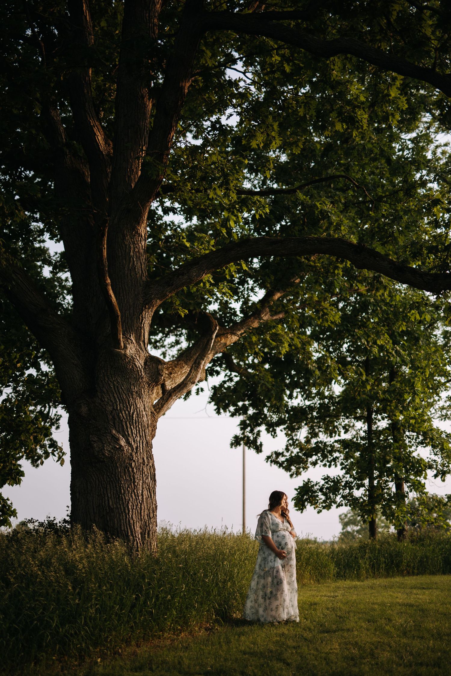 Romantic couple poses under large tree at sunset in rural setting.