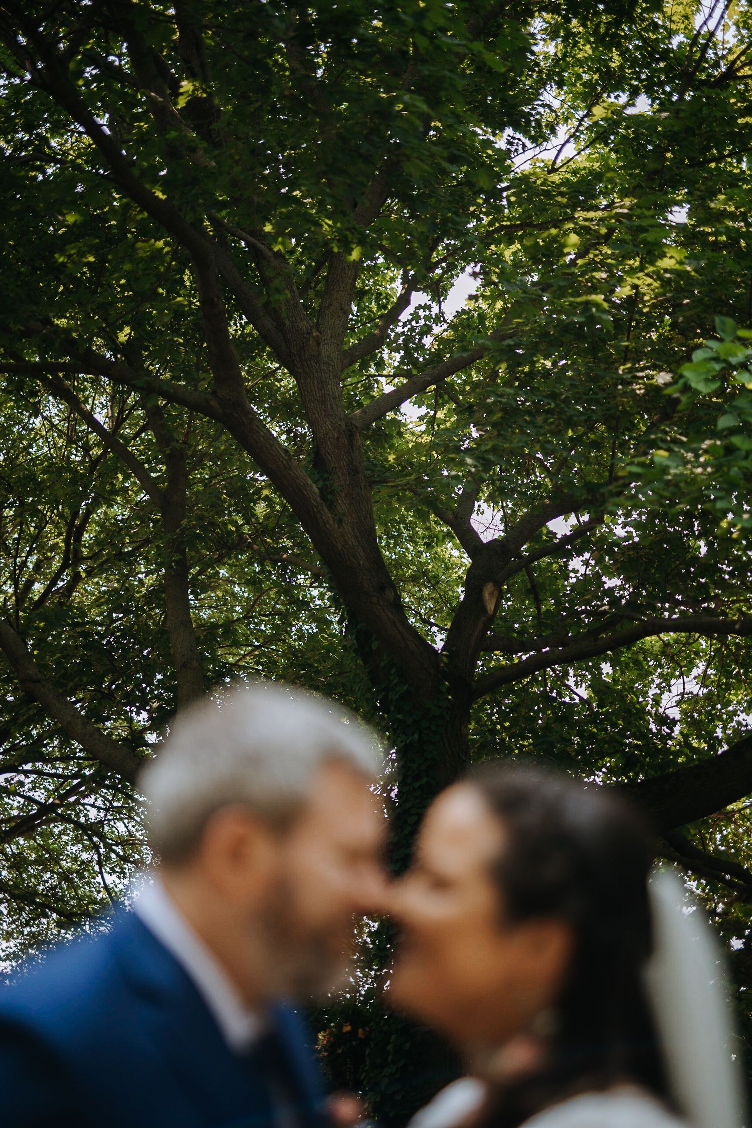 Romantic outdoor wedding scene under lush green tree canopy.