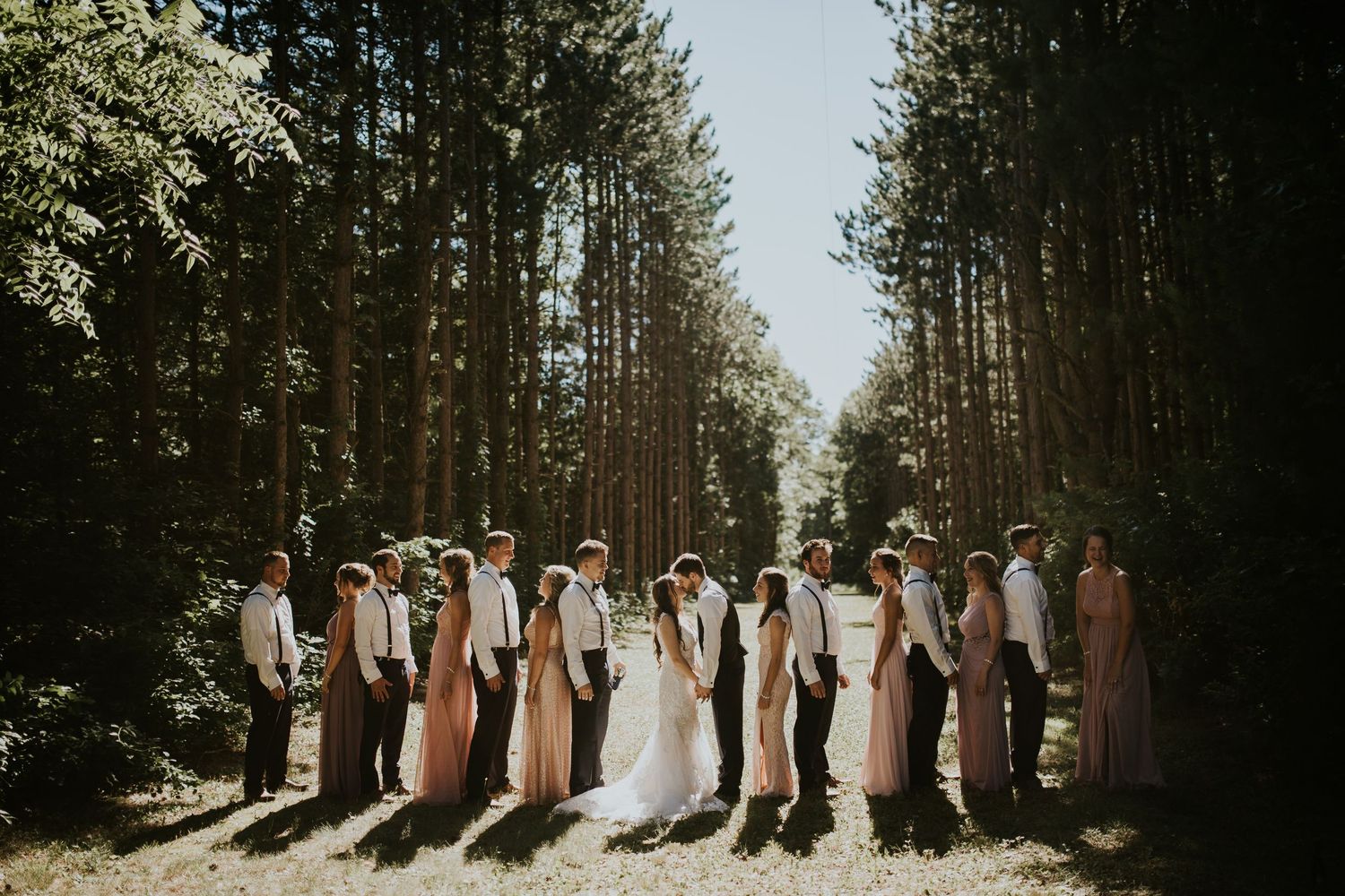 Wedding party lined up in a row amongst tall evergreen trees casting long shadows on a sunny day.