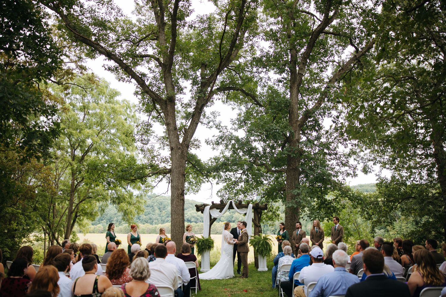 Panoramic view of wedding guests gathered under large shade trees.