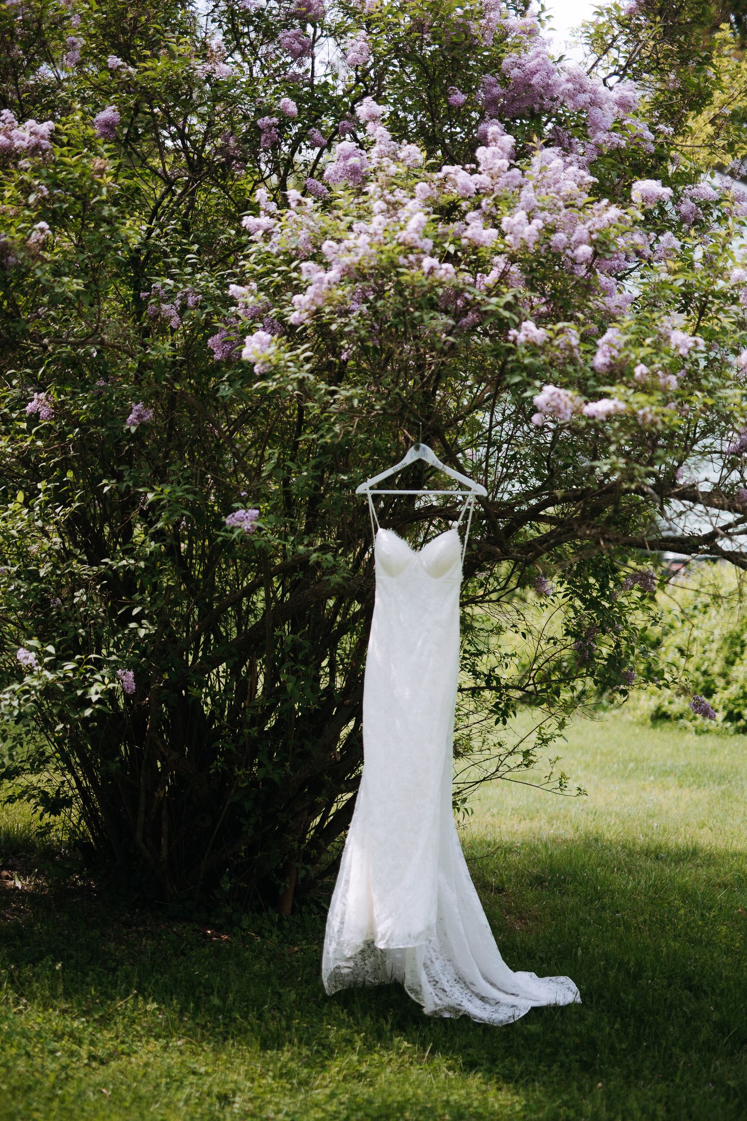 White lace wedding dress hangs from hanger in front of blooming lilac bush.