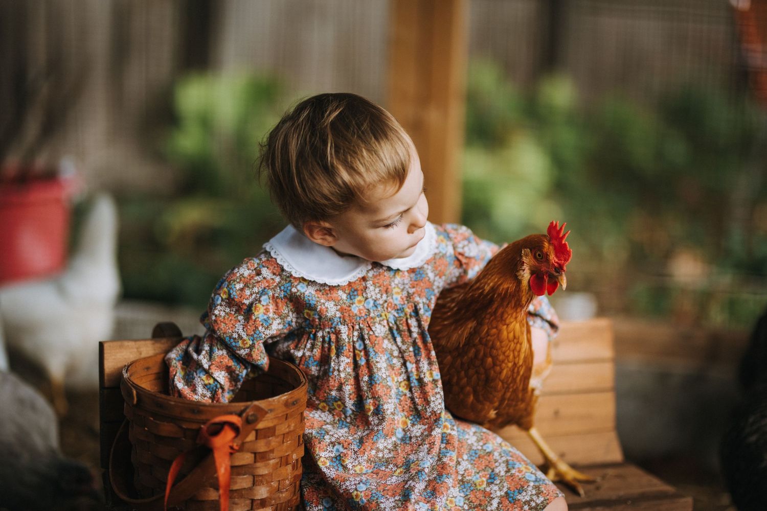 A small child in a floral dress pets a brown chicken in a backyard setting.