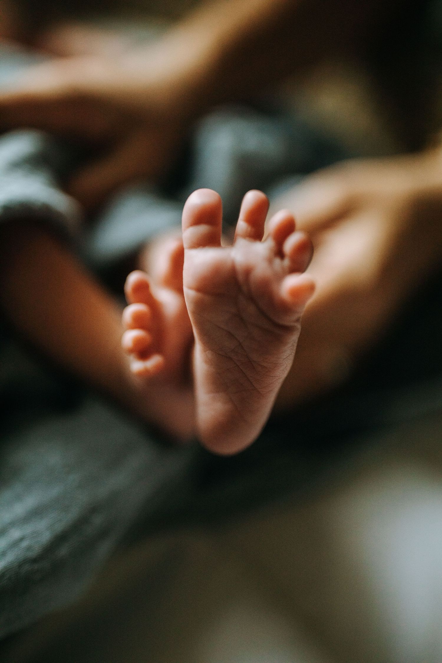 Soft focus macro shot of tiny newborn baby toes against a dark background.