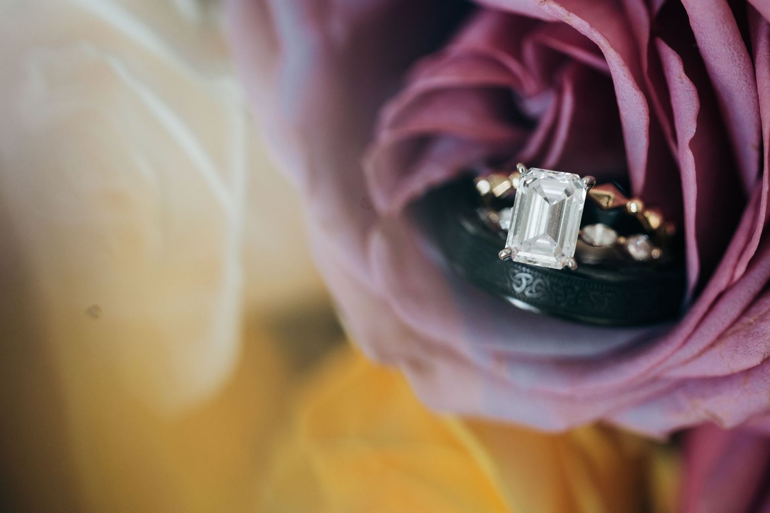 Close-up detail of wedding rings nestled among mauve rose petals.