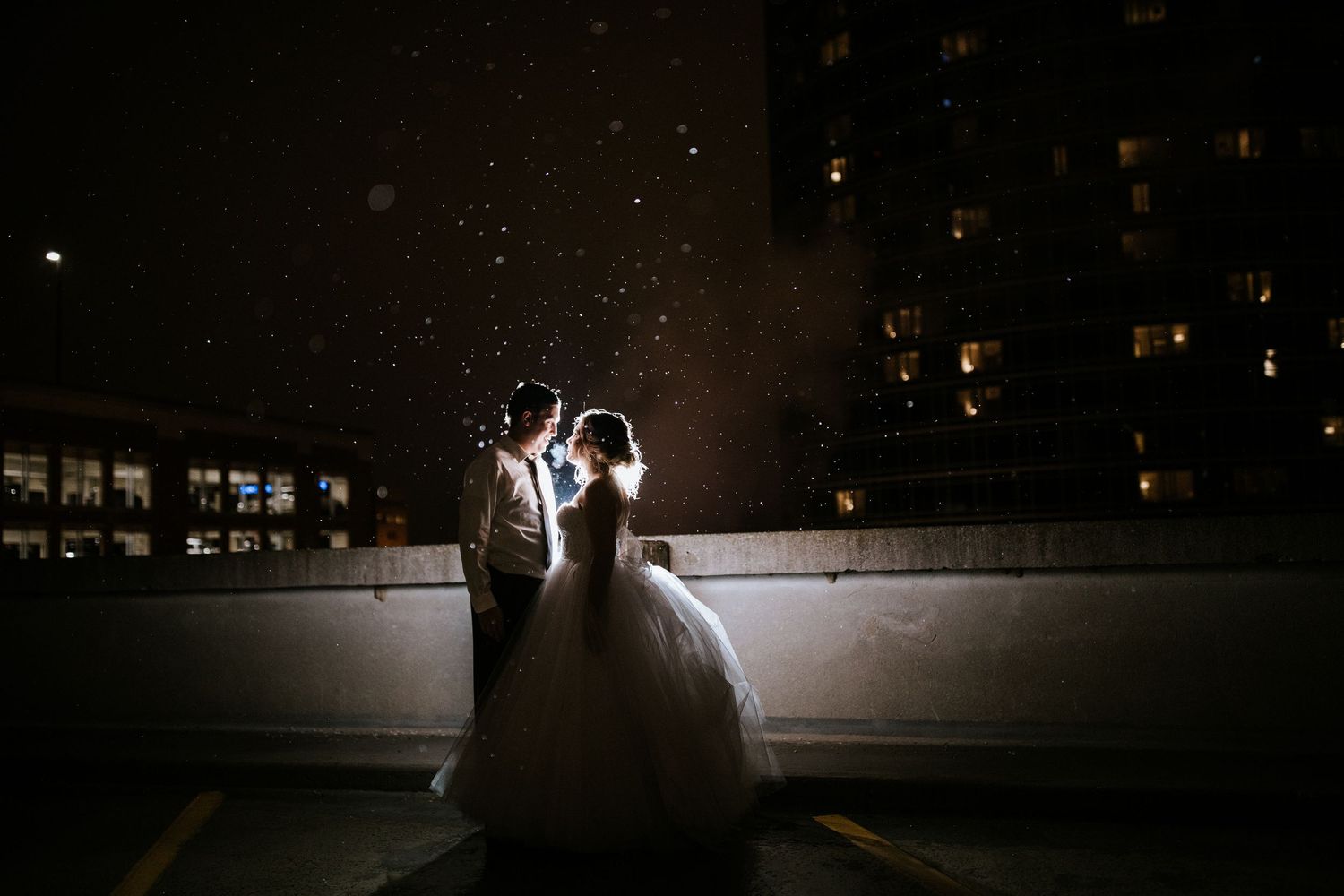 Dark silhouettes against a night sky with twinkling lights in the distance.