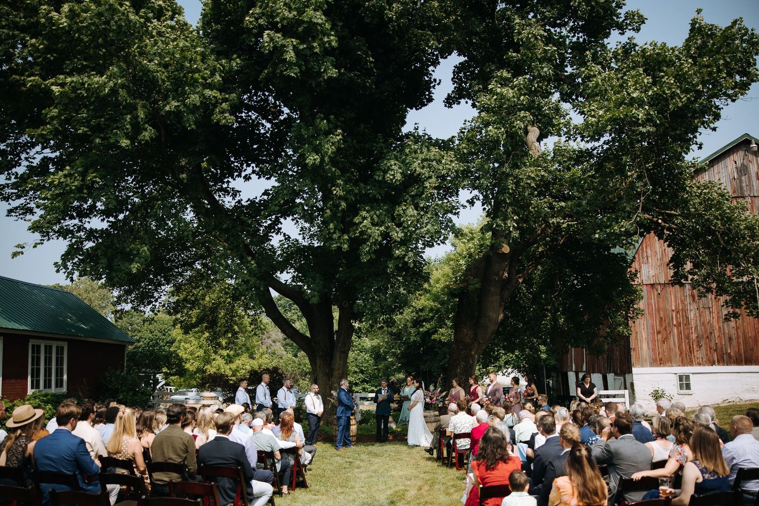 Wedding guests seated in white chairs for an outdoor ceremony beneath towering shade trees.