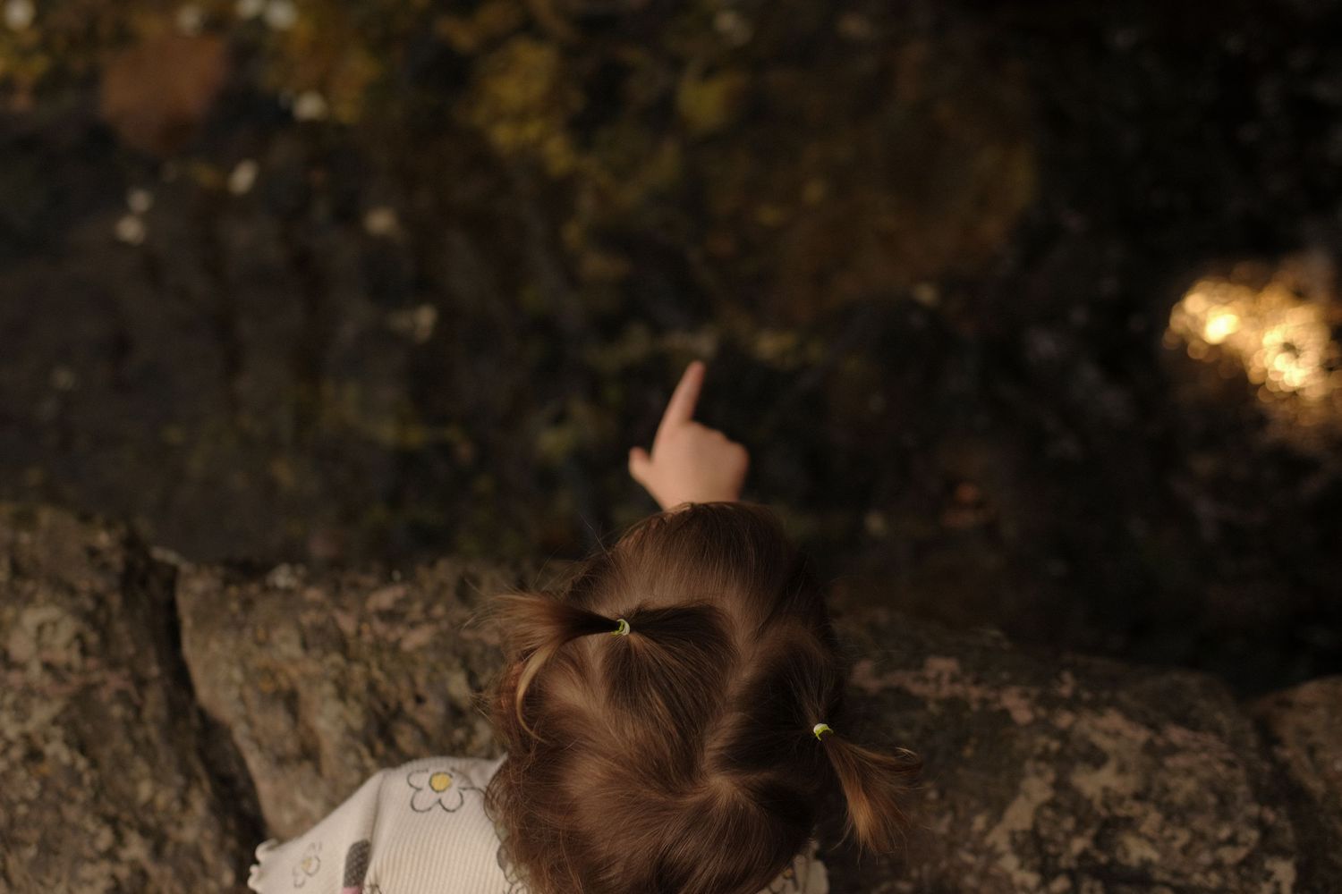 Artistic overhead view of person with updo hairstyle in dark moody lighting.