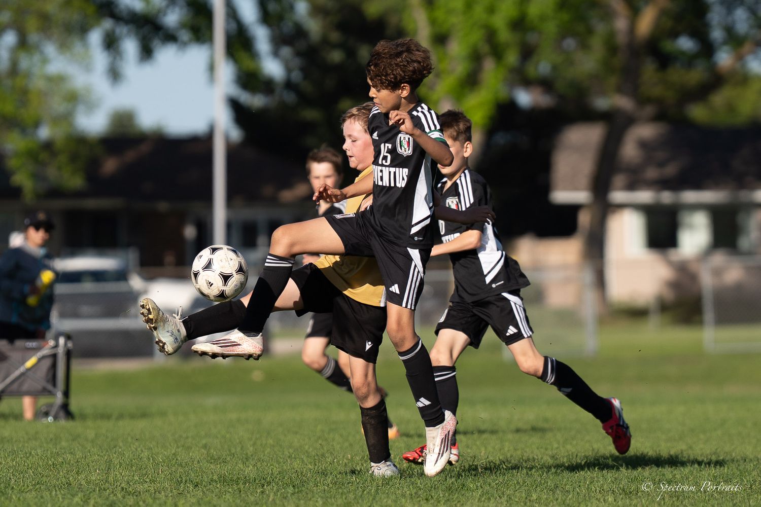 Edmonton Photographer