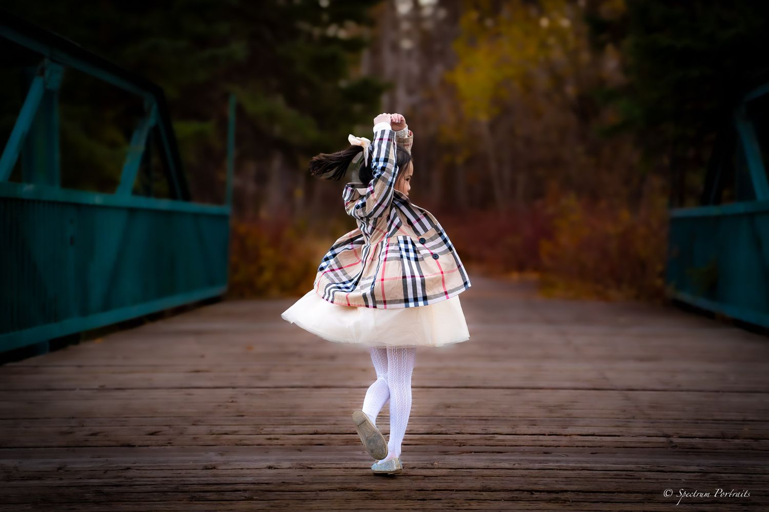Edmonton Photographer