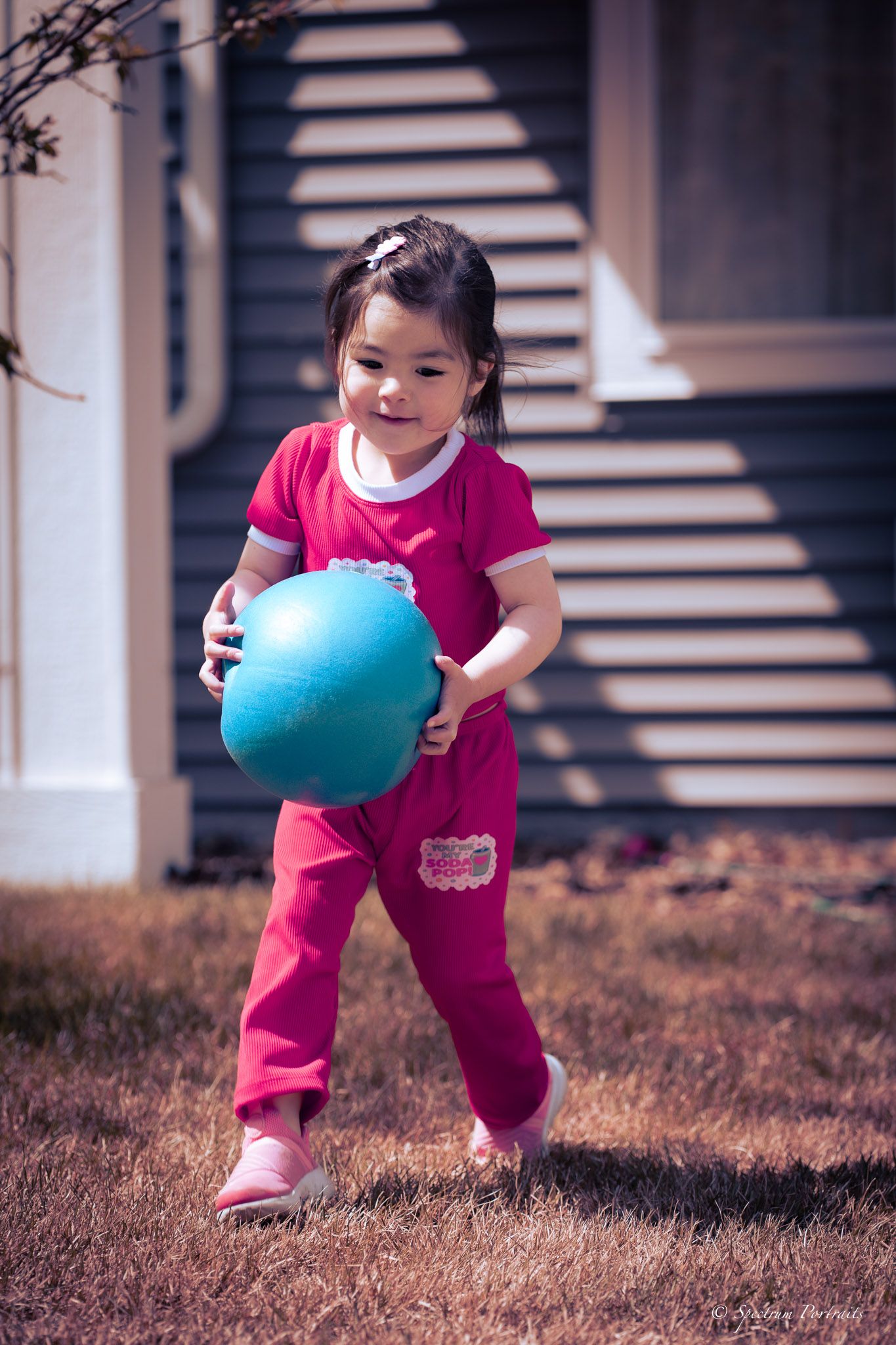 Edmonton Photographer