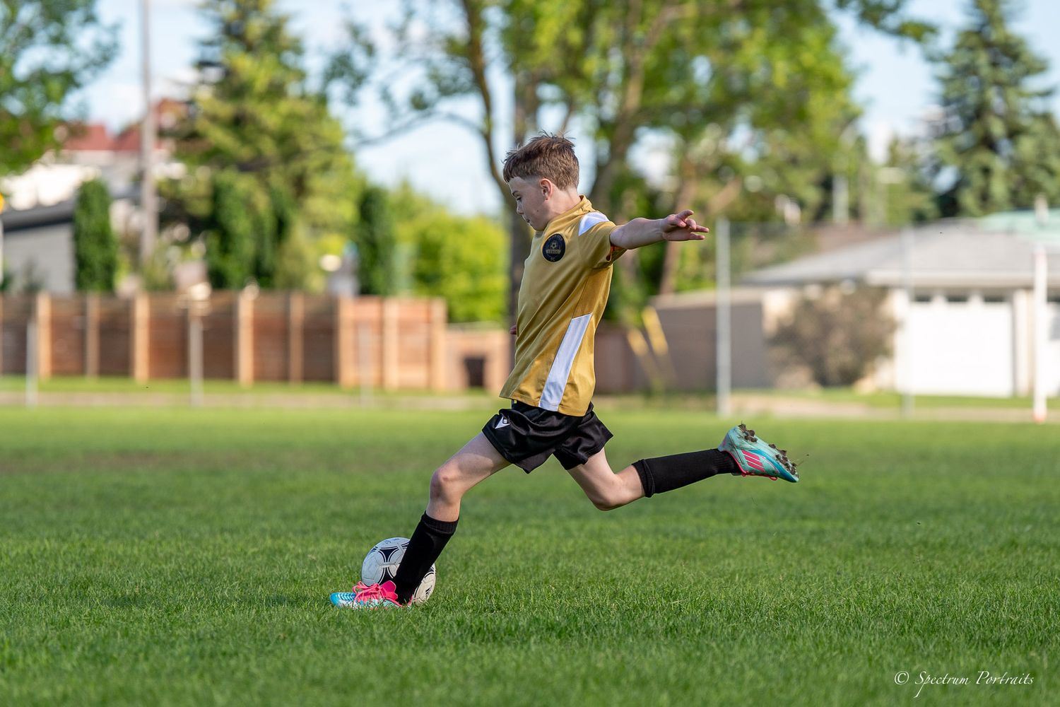 Edmonton Photographer