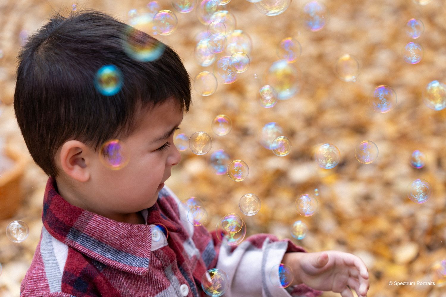 Edmonton family photographer for maternity, newborn, baby, and lifestyle family photography.