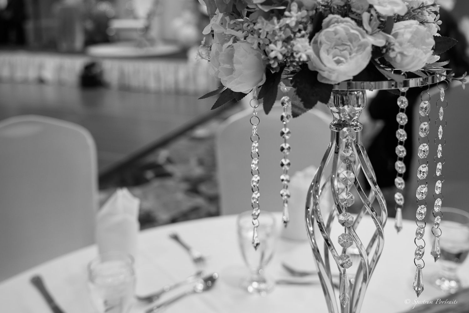 Edmonton Photographer