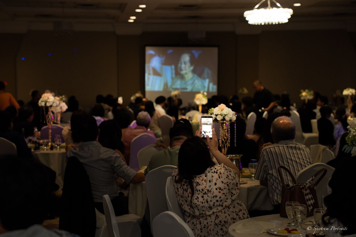 Edmonton Photographer