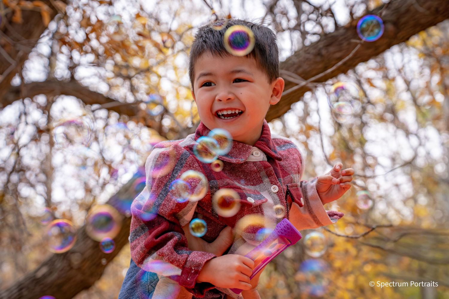 Edmonton family photographer for maternity, newborn, baby, and lifestyle family photography.