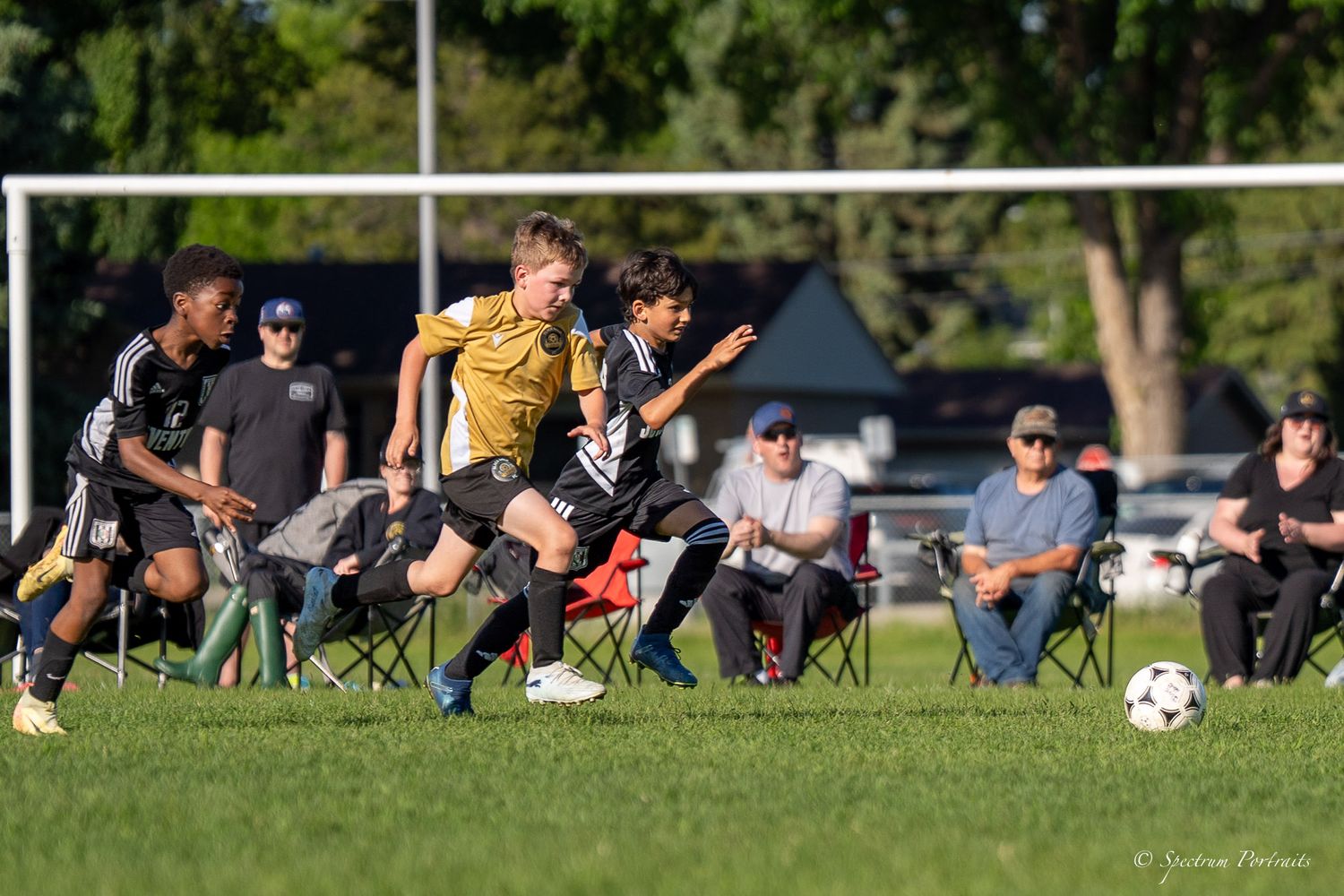 Edmonton Photographer