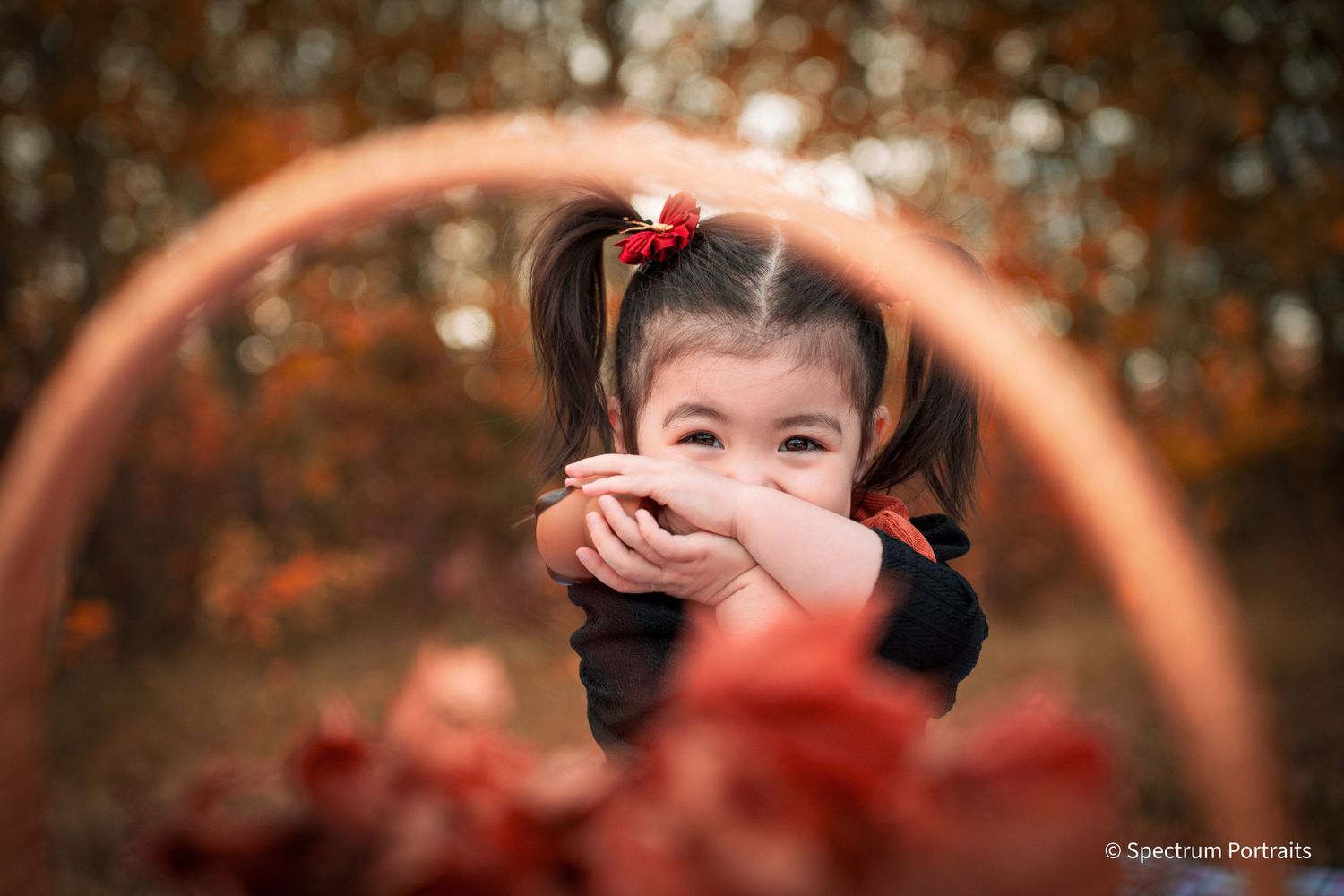 Edmonton family photographer for maternity, newborn, baby, and lifestyle family photography.