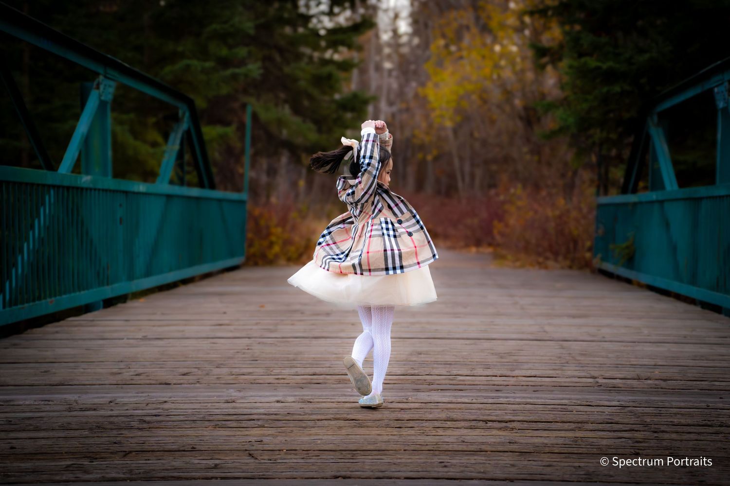 Edmonton family photographer for maternity, newborn, baby, and lifestyle family photography.