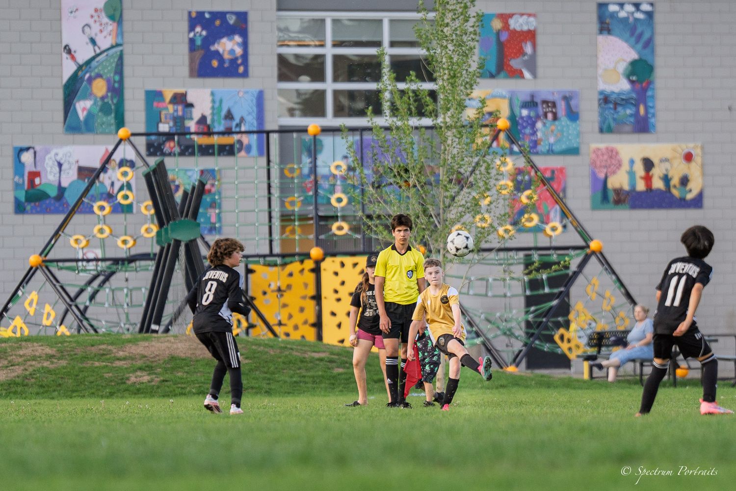 Edmonton Photographer