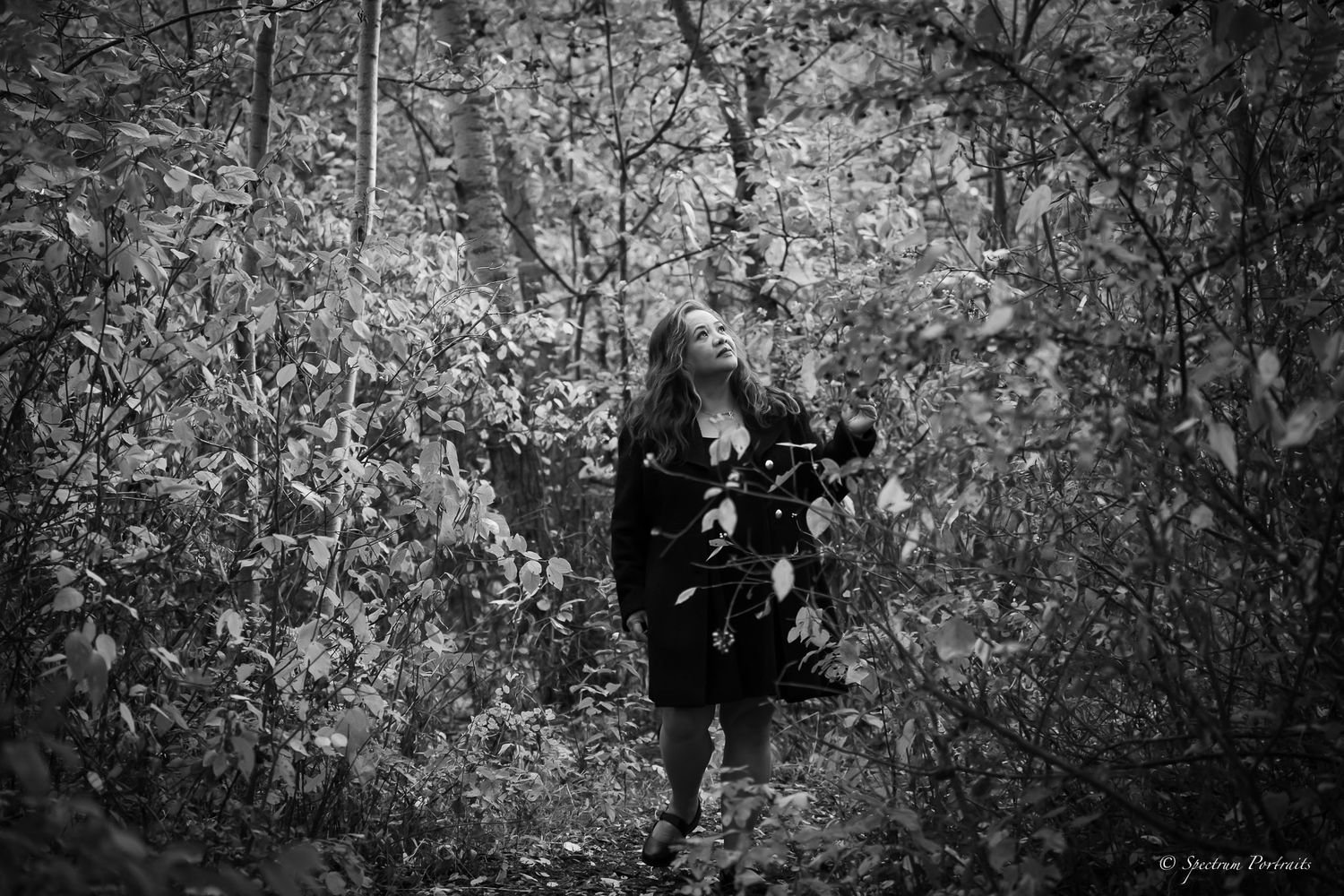 Edmonton Photographer