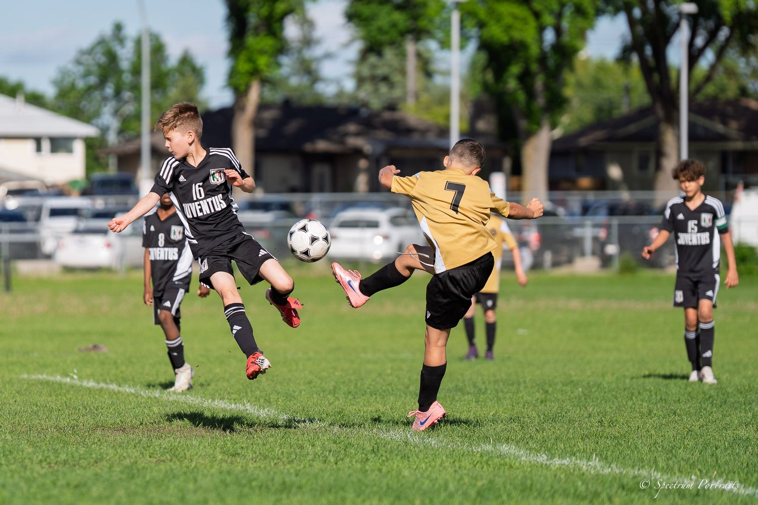 Edmonton Photographer