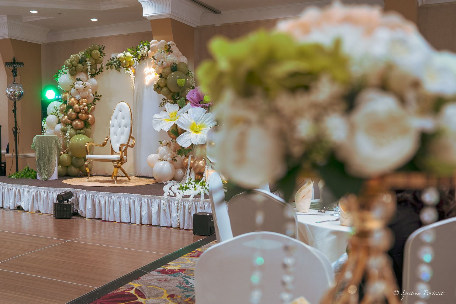 Edmonton Photographer