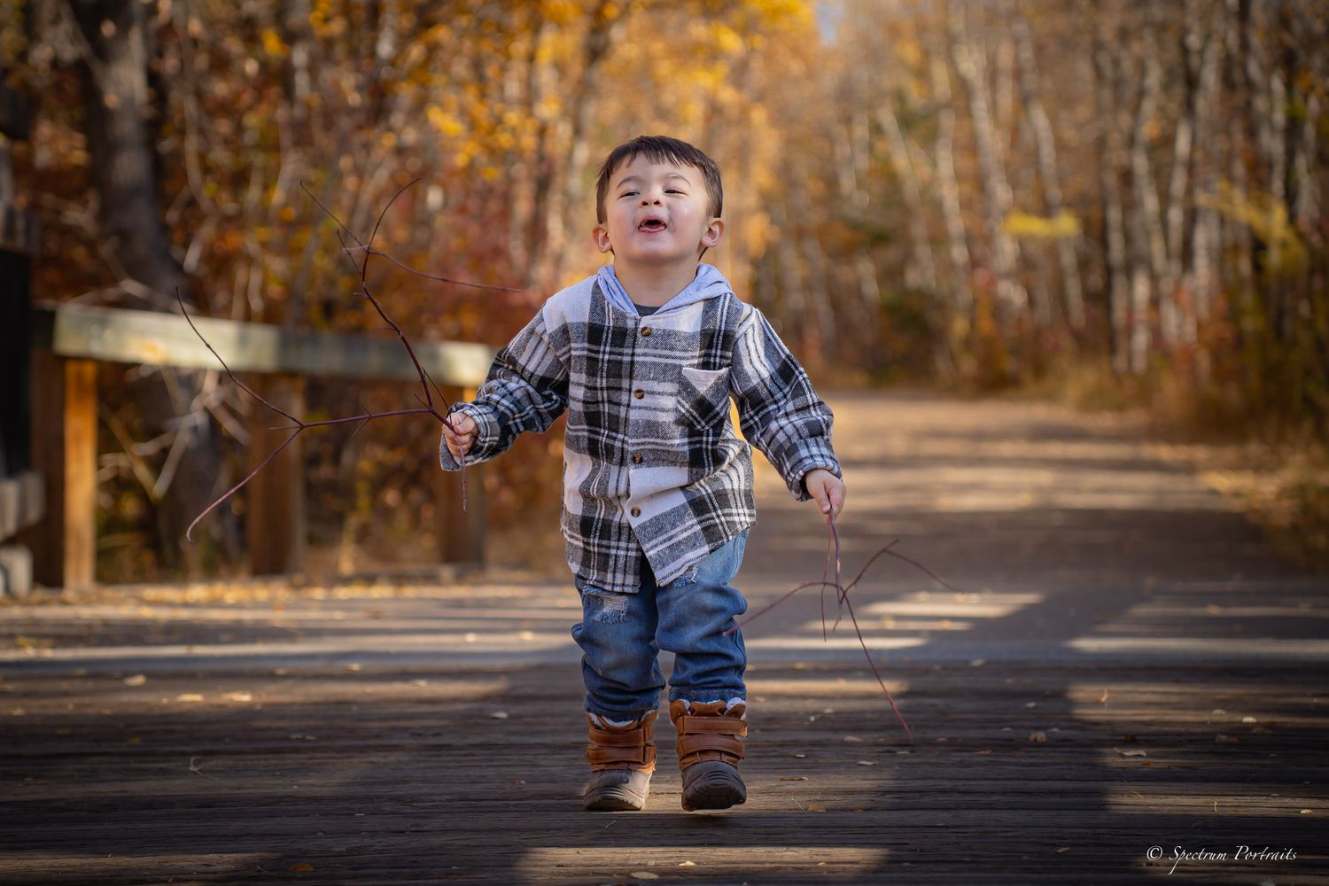 Edmonton Photographer