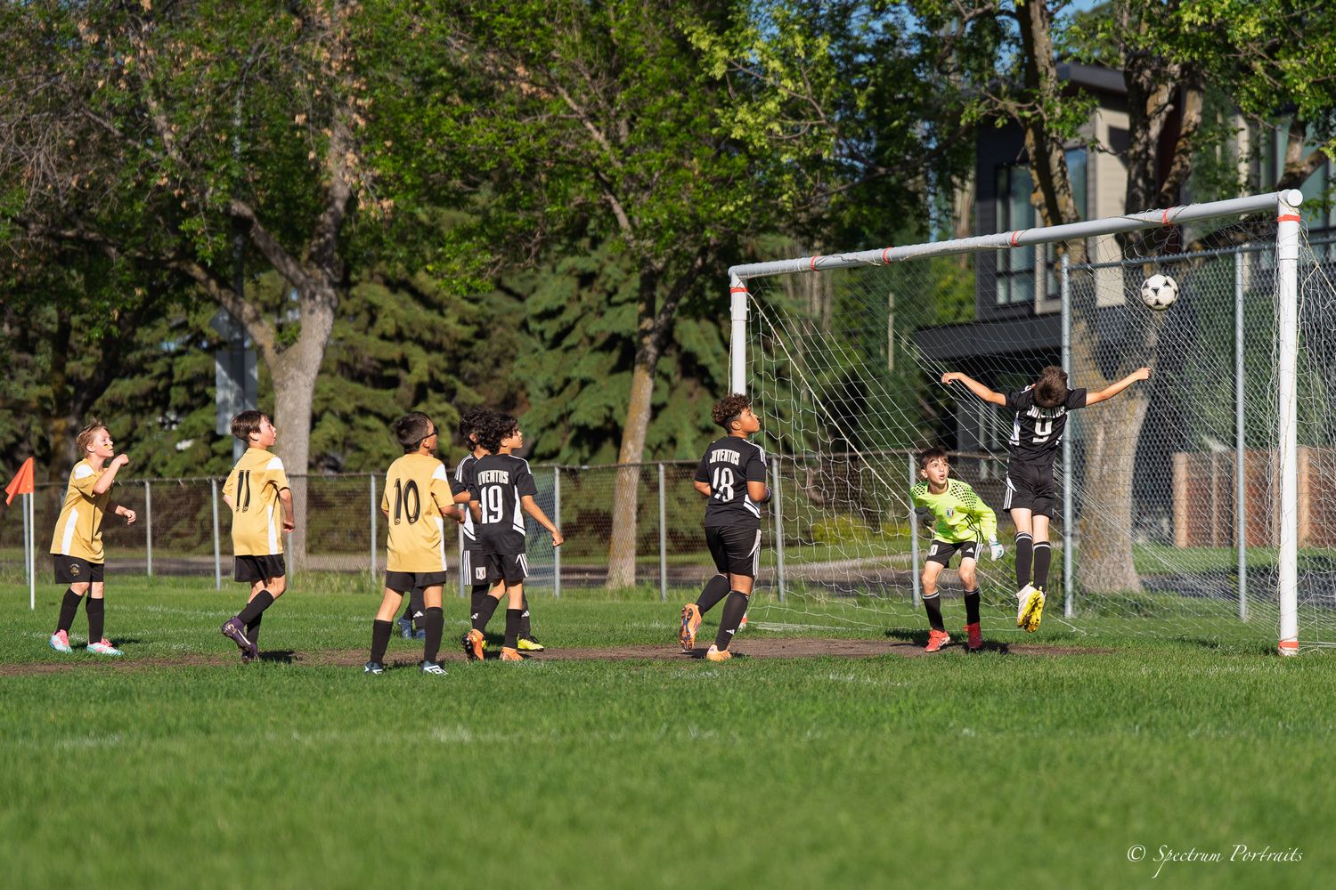 Edmonton Photographer