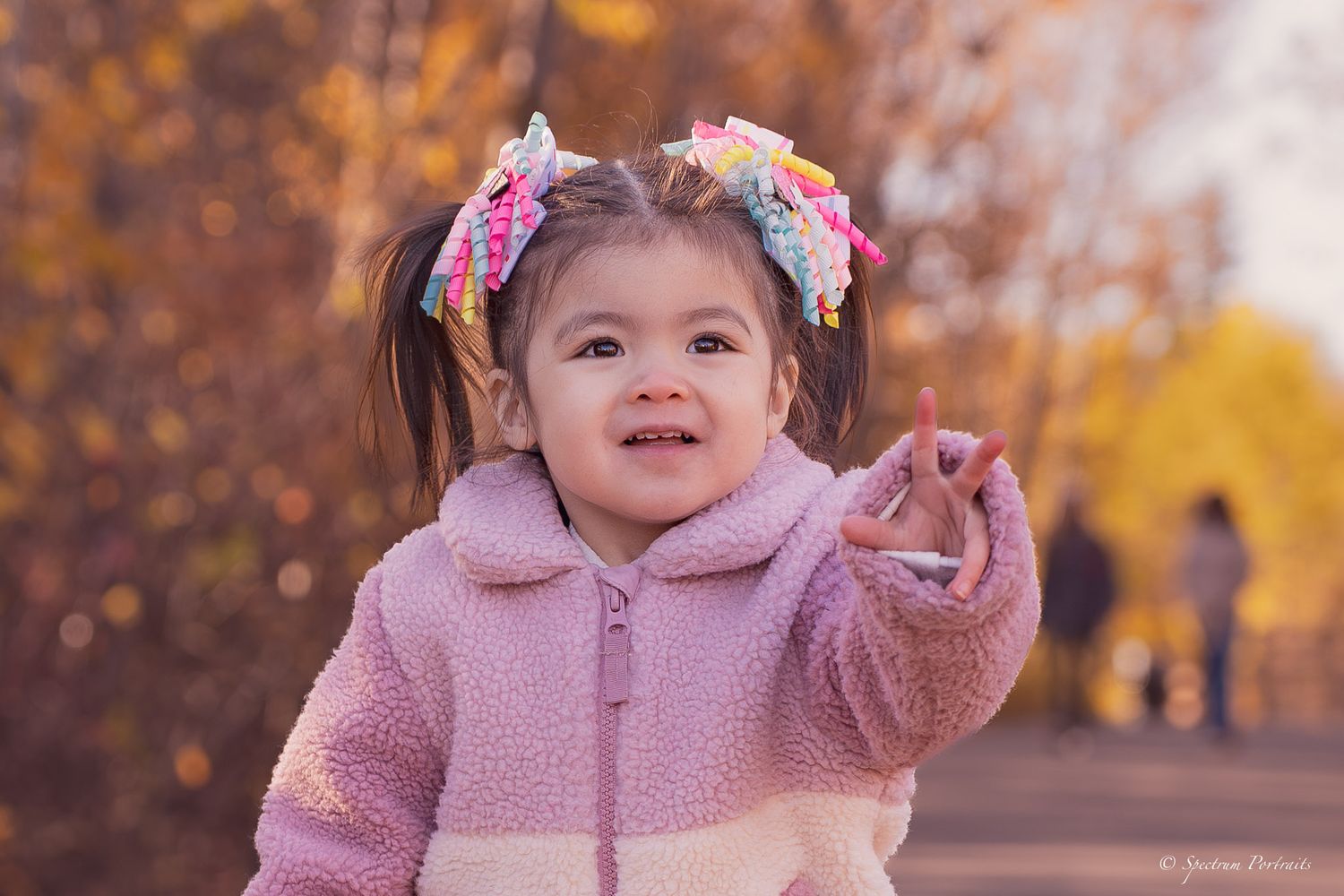 Edmonton Photographer