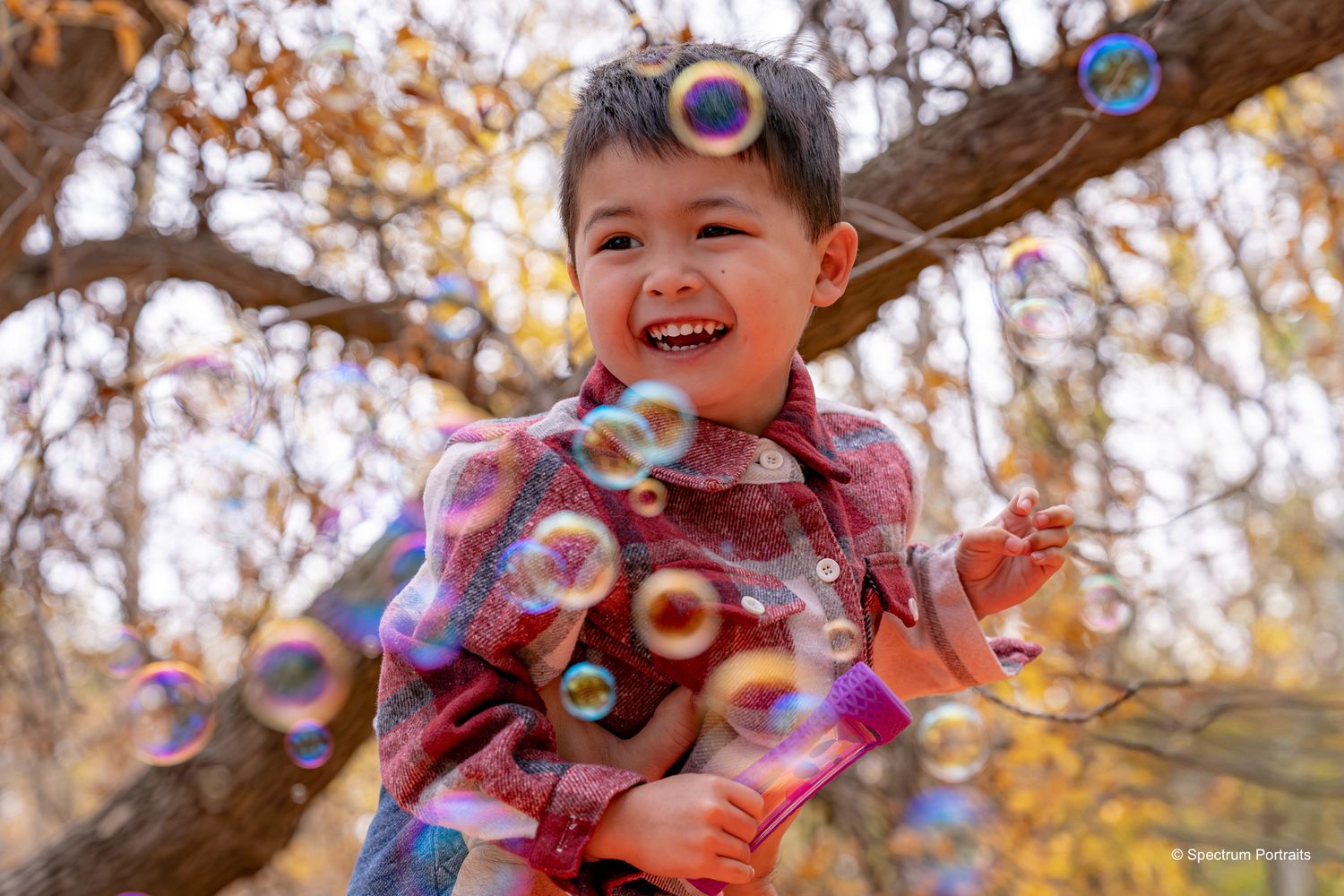 Edmonton family photographer for maternity, newborn, baby, and lifestyle family photography.