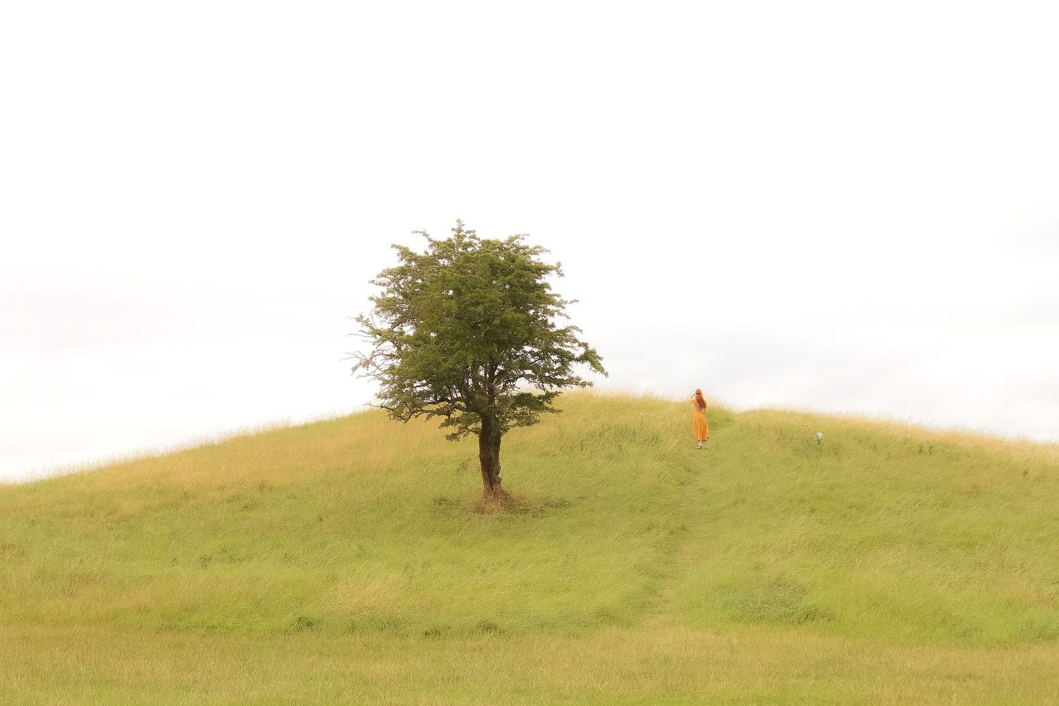 A woman with long ginger hair is standing in a field with a single tree in sight, she is wearing a long mustard dress and a corset.