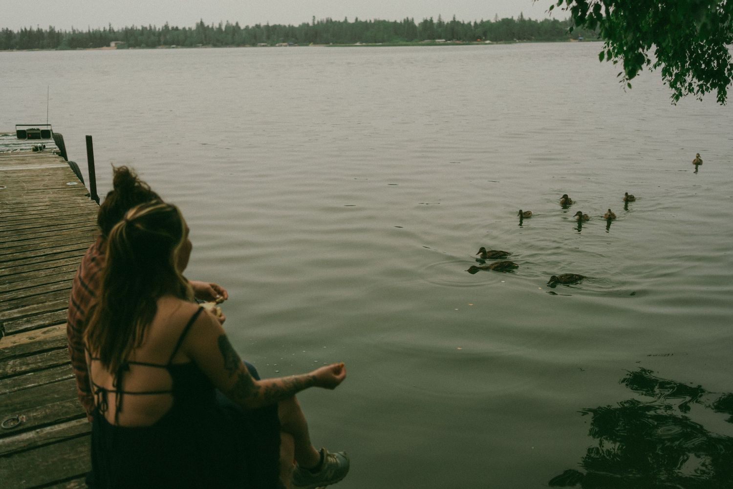 and LGBTQ couple feeds the ducks at their cabin at the lake