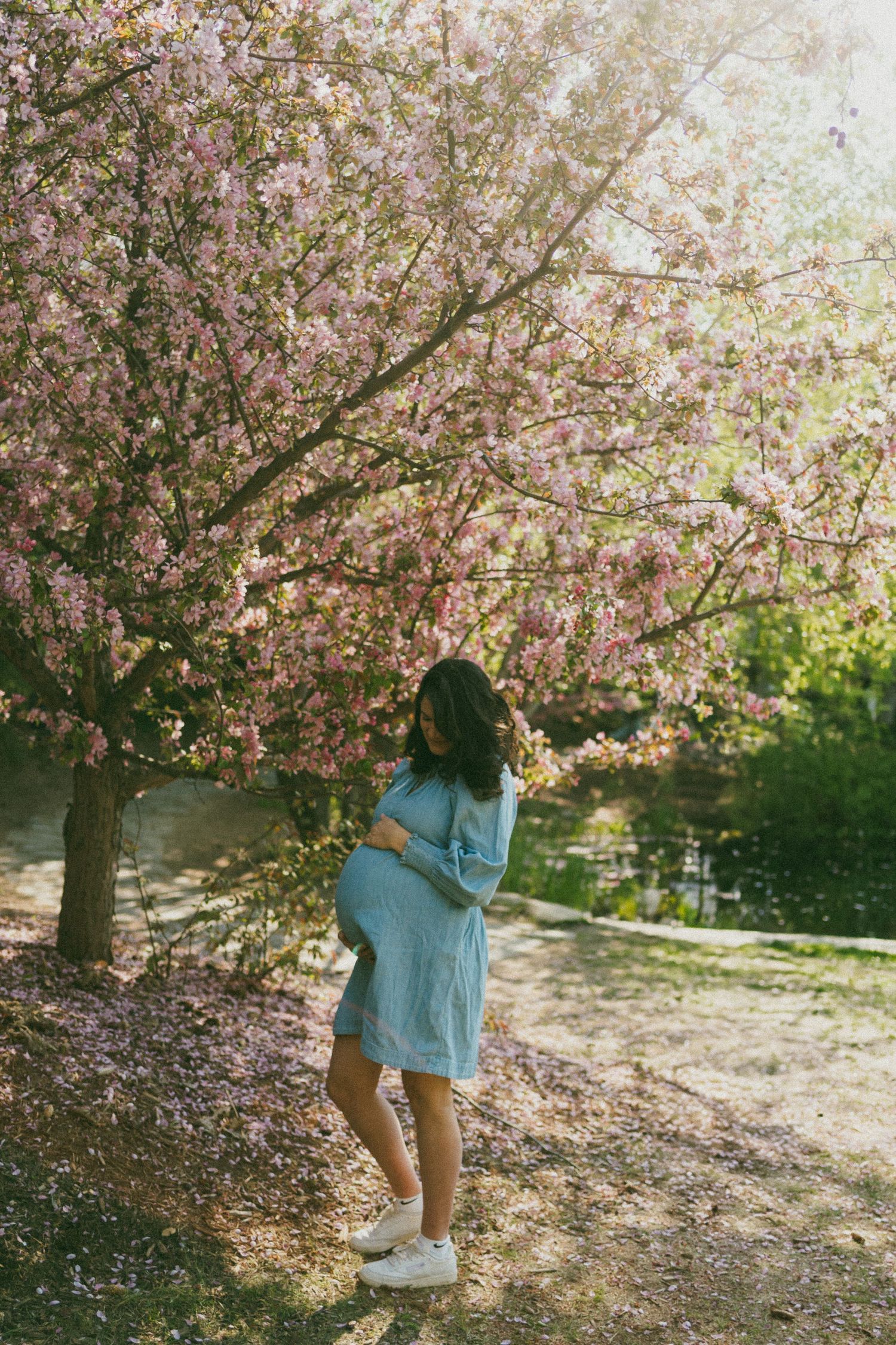 A woman holds her belly in this maternity photo in the blossoms