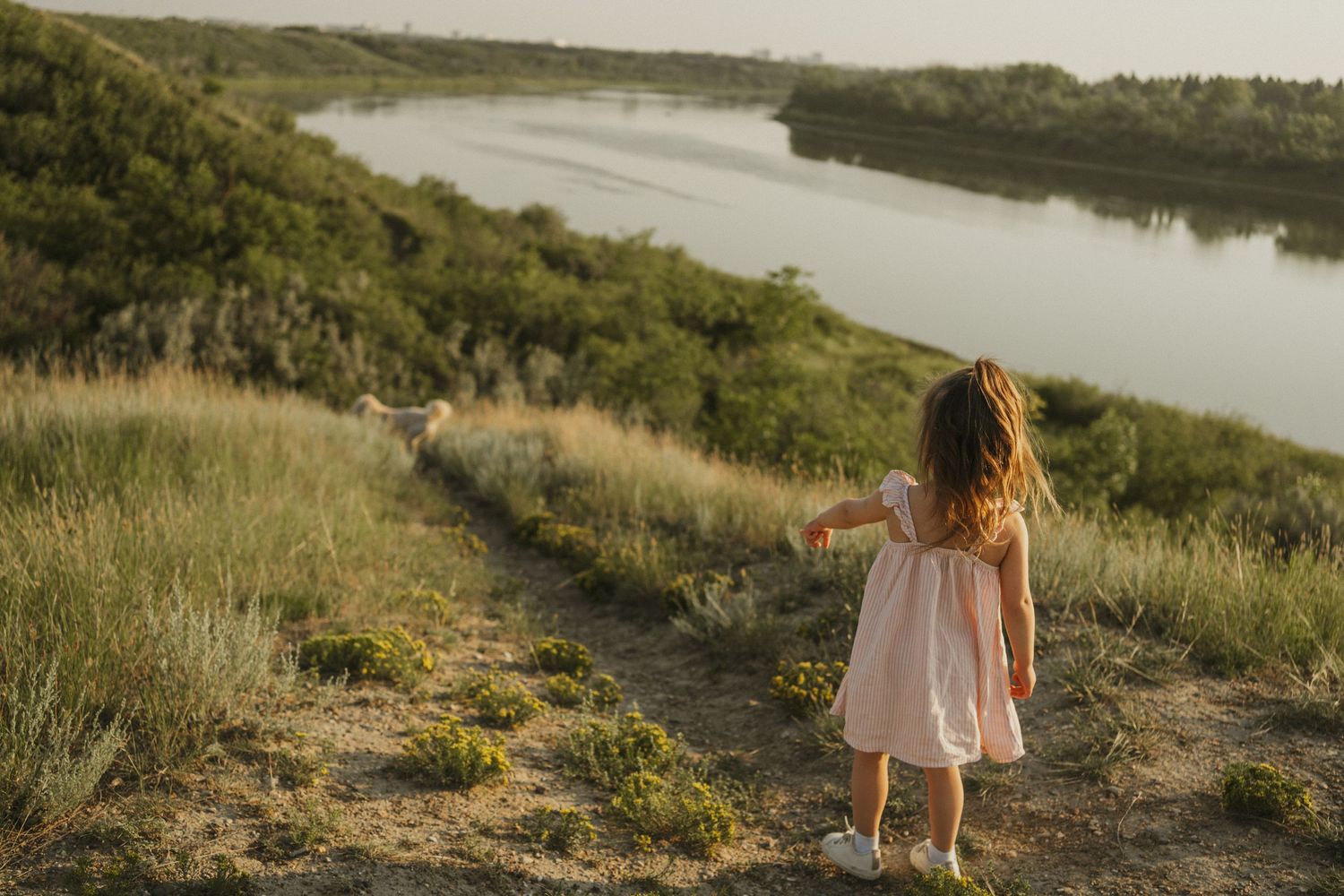 A photo of a little girl with her dog. Cinematic and candid.