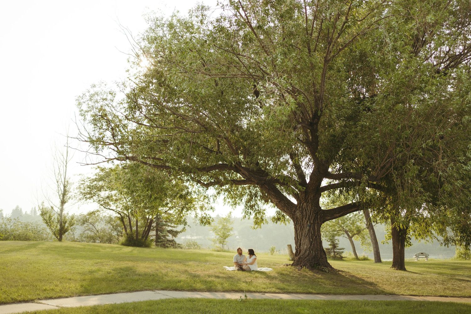 a couple sit under a tree