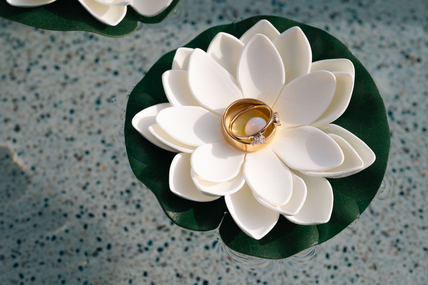 Gold wedding rings rest on a white lotus flower floating on water, elegant wedding ring display.