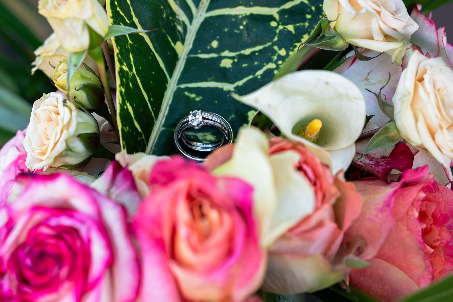 Wedding rings resting on a colorful bouquet of pink roses and white calla lilies.