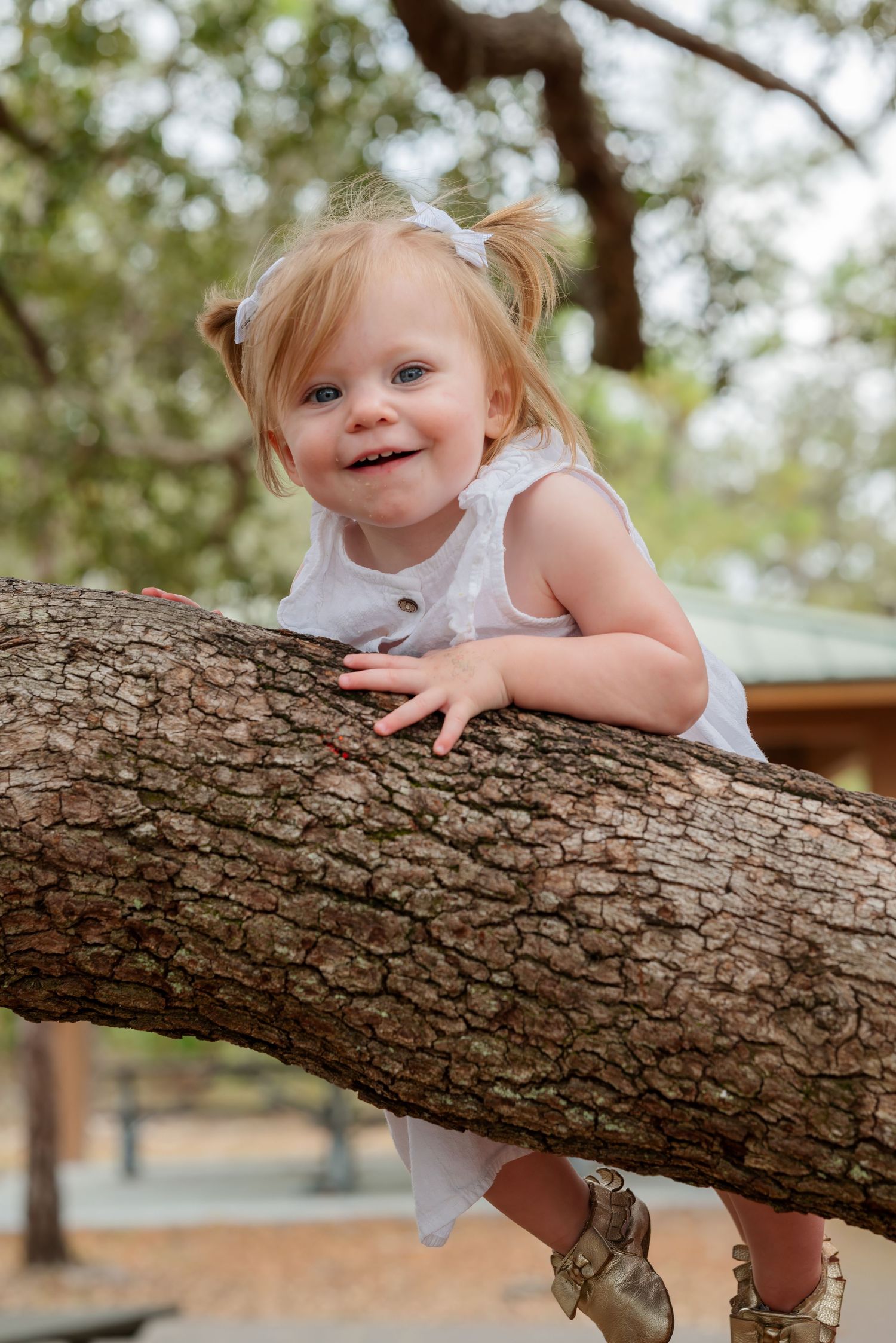 Smiling toddler girl in white dress climbing on a large tree branch in a park.