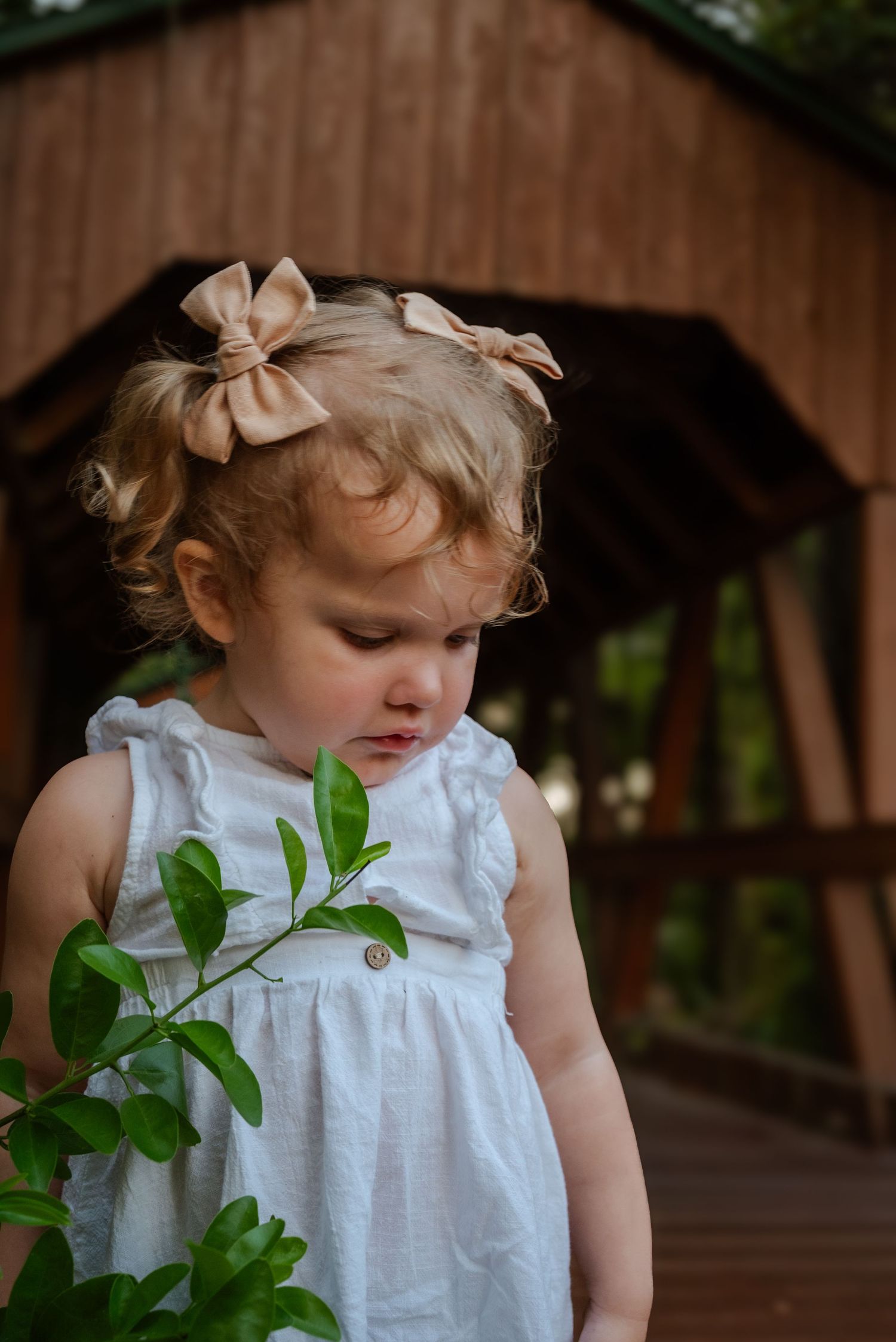 Toddler girl in white dress with bow hair clips looks down at green plant near wooden covered bridge.