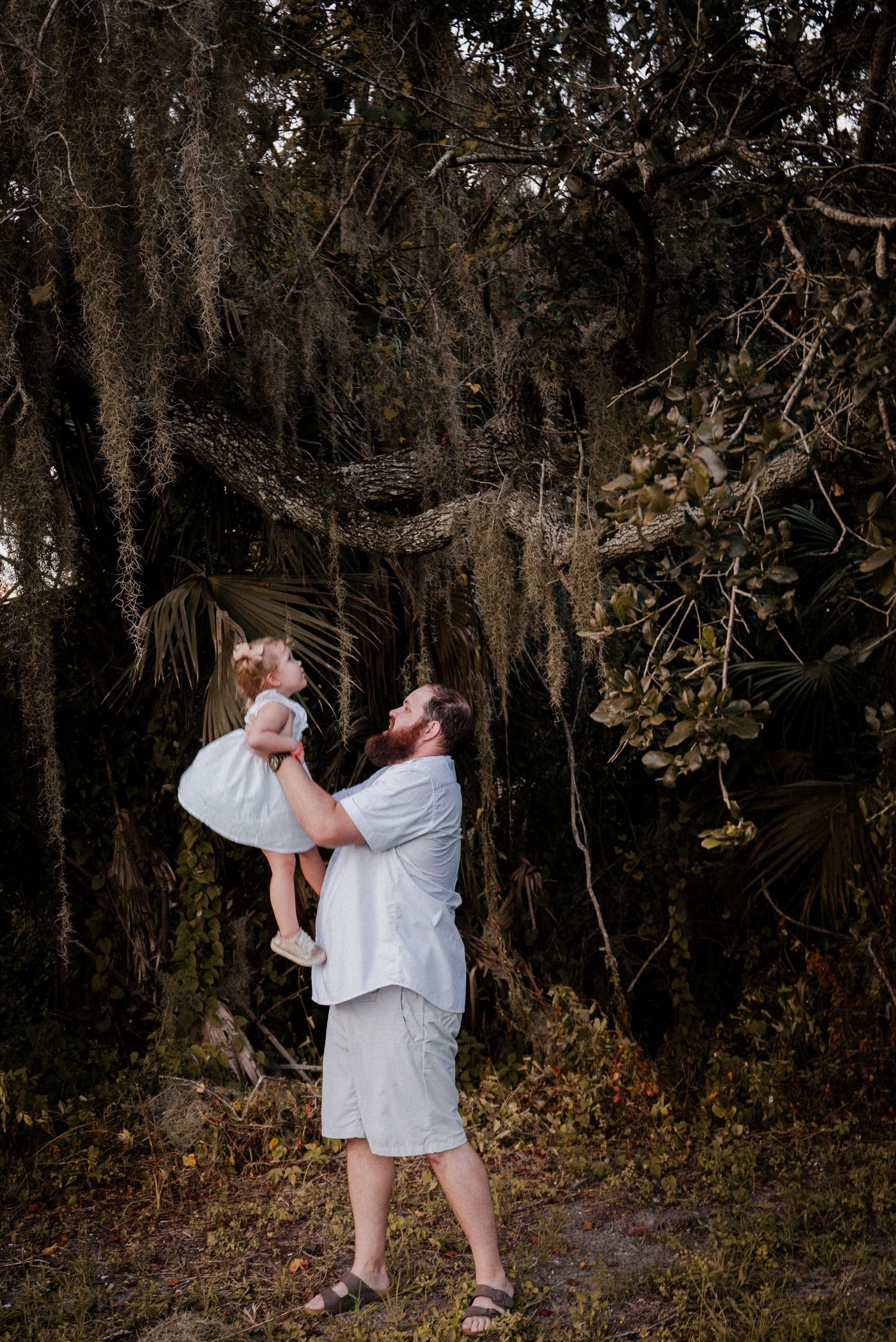 A bearded father lifts his young daughter high in the air among moss-draped trees.