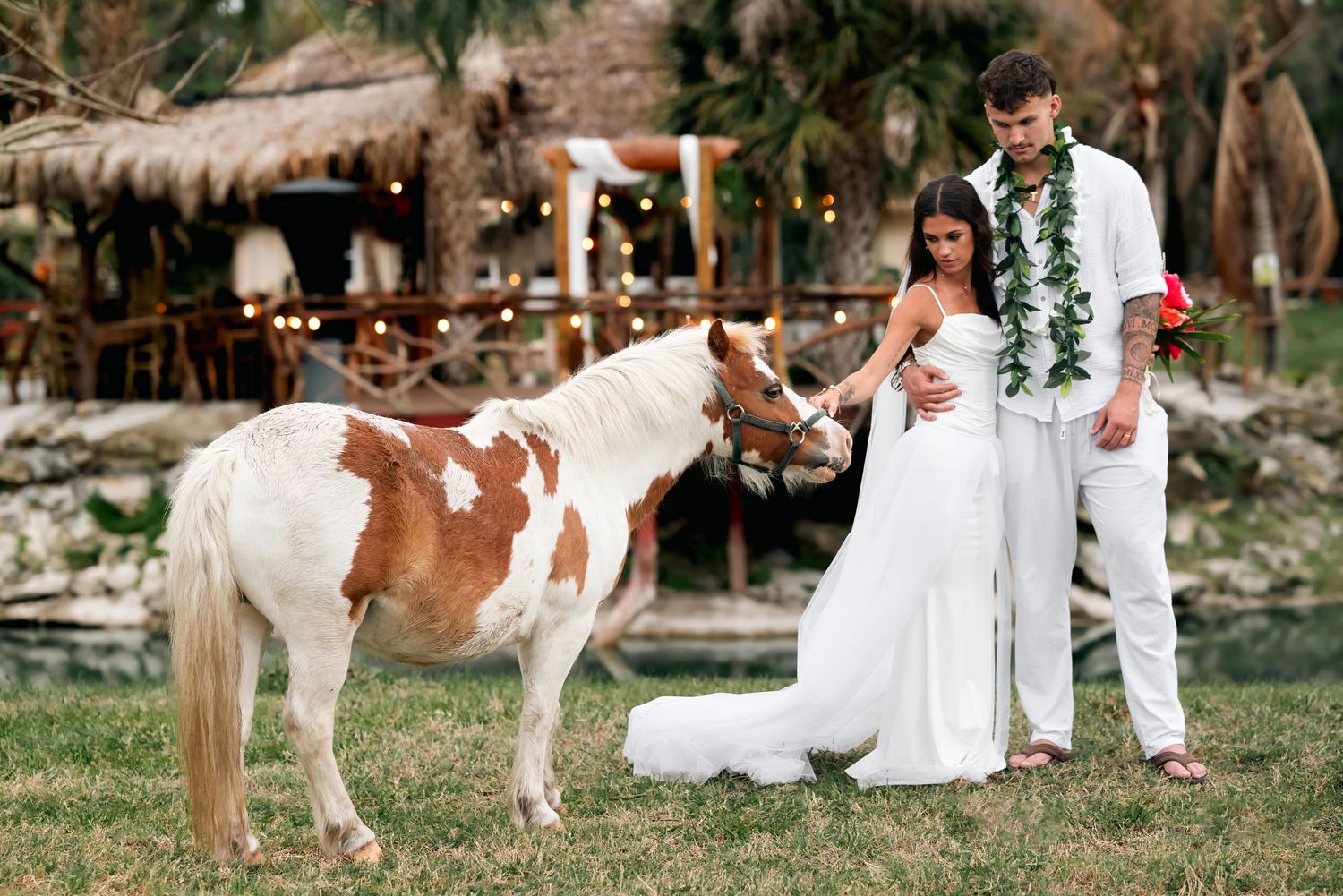 Bride and groom in white wedding attire petting a brown and white pinto pony at a tropical outdoor venue.