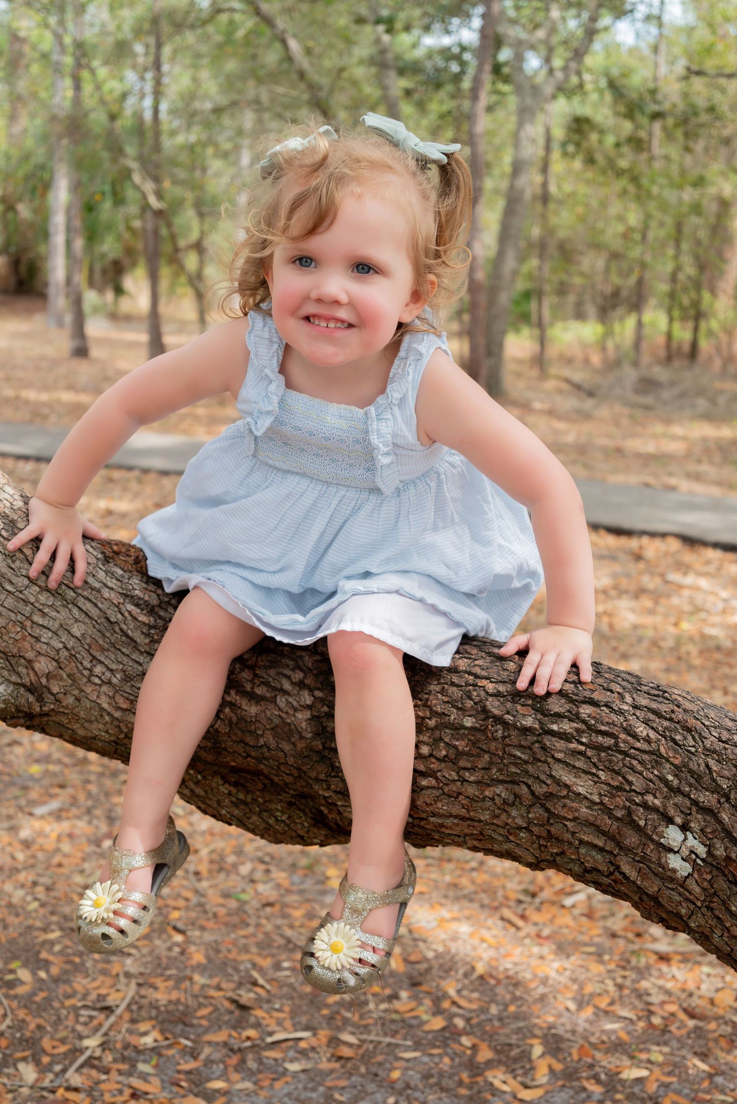 A smiling toddler girl in a blue dress sitting on a tree branch in a park.