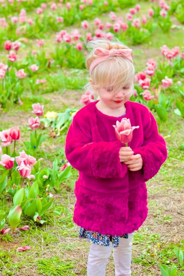 Adorable blonde toddler in pink fur coat holding tulip in colorful spring flower field.