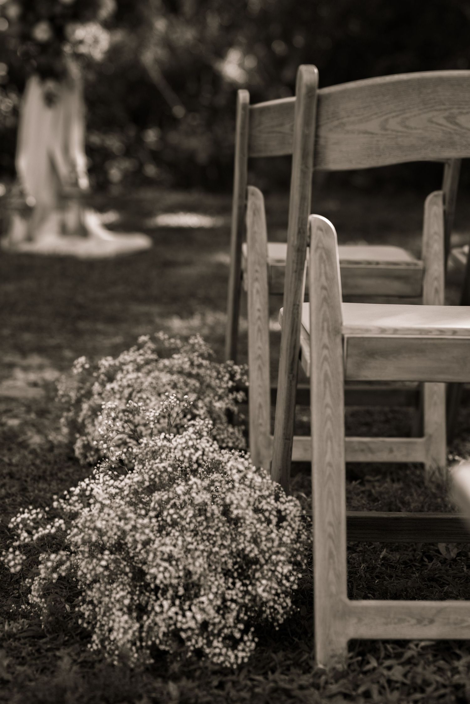 Black and white close-up of baby's breath flowers lining the aisle beside wooden chairs at an outdoor wedding.